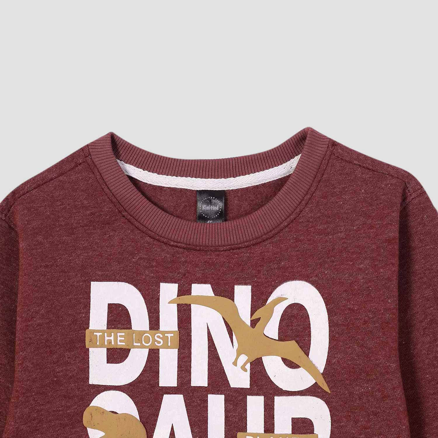 Dino World printed suit in fleece For Kids